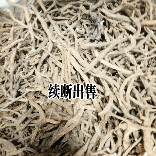 续断种植每亩10000株左右