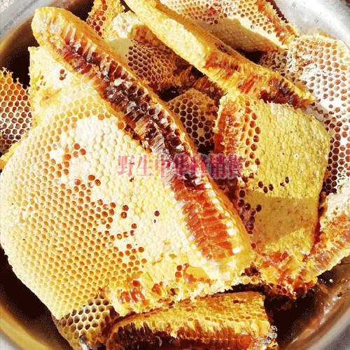 蜜蜂是什么?马蜂筑巢好_怕什么味道会跑