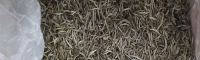 新2019年普洱茶山价格参考(后面标注 ：涨/平/跌)