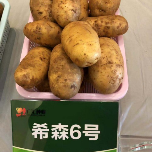 七彩云南，七彩土豆，云南广汇种植有限公司