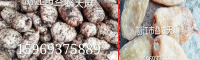 天麻价格家种正常统货在110-120元