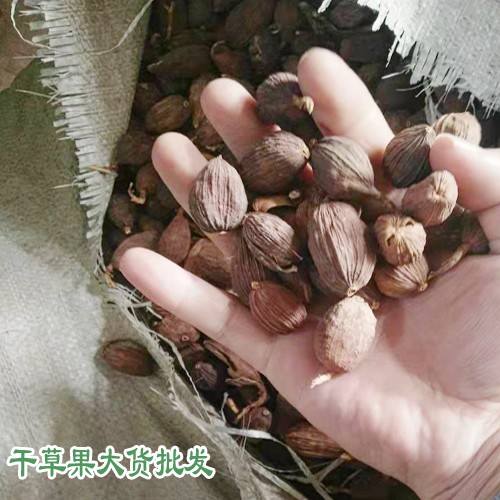 越南、红河和文山草果产区量有多少?