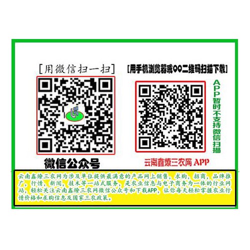 西双版纳原始森林和普洱市太阳河蜂蜜主产区信息