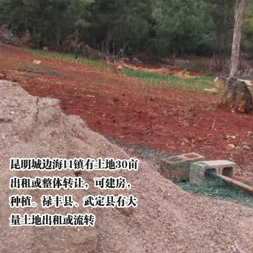 昆明新土地价格_2019昆明土地价格表