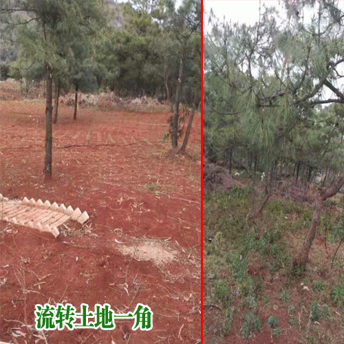 昆明新土地价格_2019昆明土地价格表