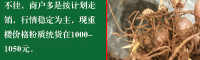 重楼育苗亩播种量8-8.5千克