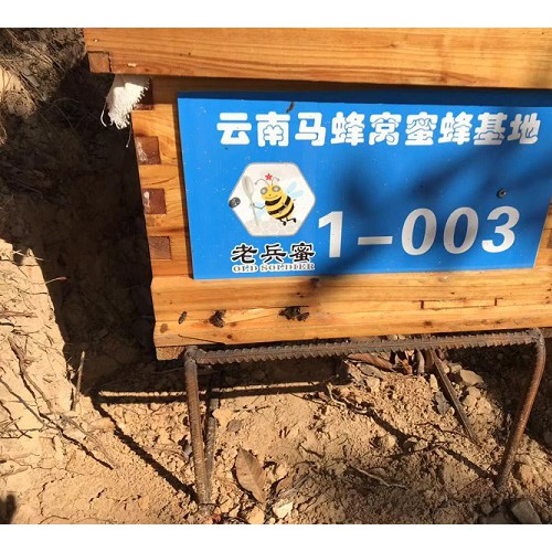 云南中蜂养殖技术培训