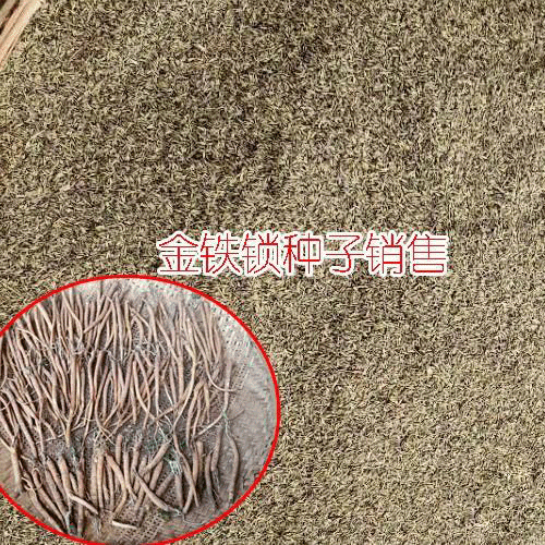 云南金铁锁供应商家_13987124018