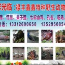 禄丰鑫鑫特种野生动物养殖场