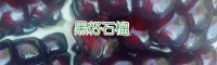 黑籽,黑籽石榴市场价格多少钱一斤?哪里卖树苗