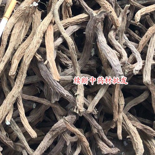 续断种植方法有哪些?