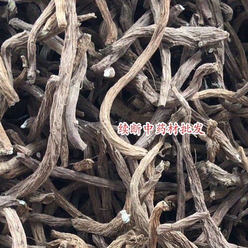 续断如何栽培?续断种植技术,亩产,图片
