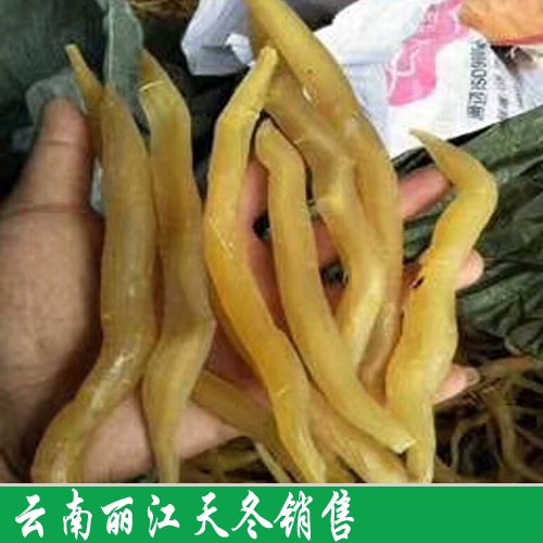 天门冬合理上肥(附技术资料)