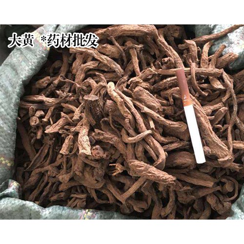 大黄涨价静悄悄_黄种植技术关键有種子繁殖和预苗栽种。