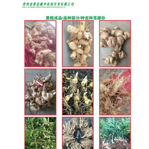 聚昌鼎药业，聚昌鼎国标商标图片，