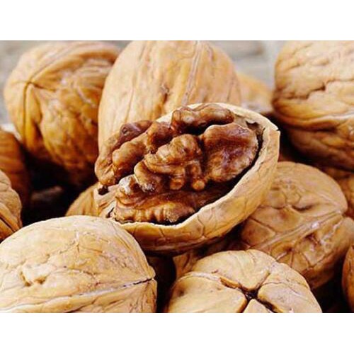 安宁核桃树苗|昆明桃苗基地采购去处|