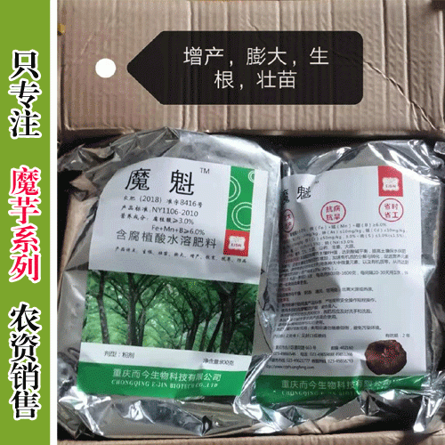 魔芋魔魁特点：膨大、抗病、增产、抗旱、生根、壮苗