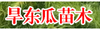 川滇桤木经济发展使用价值_云川滇桤木照片 川滇恺木