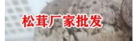 松茸香格里拉的好么?_营养成分怎样?