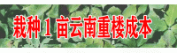 栽种1亩云南重楼成本费及经济效益怎样?
