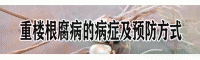 重楼根腐病的病症及预防方式