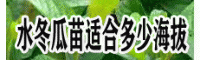水冬瓜苗适合多少海拔_曲靖师宗哪些地方有?