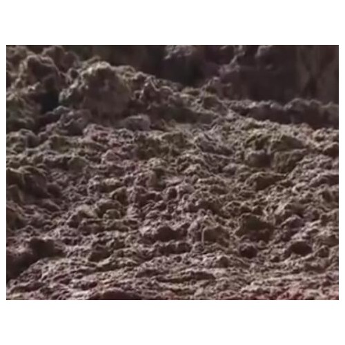 蚯蚓多少钱一斤?