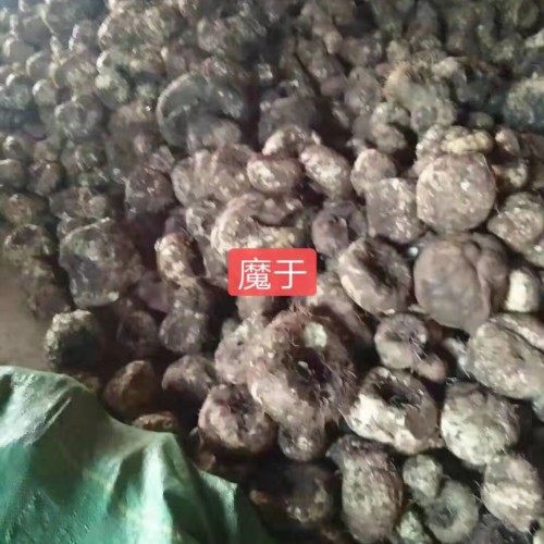 魔芋价格行情(亳州市场?)[2019-09-26]