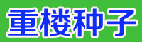 今日重楼市场价格多少钱一斤？
