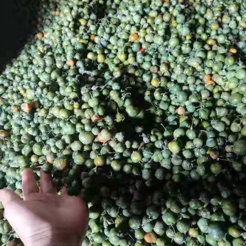 鸡头黄精今年黄精的市场价格是多少呢?黄精几种食用方法?