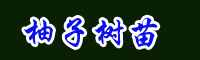 近期一棵柚子苗多少钱_怎么种植柚子苗_这几个品种值得了解