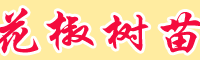 花椒树苗价格表_椒树苗怎么种植