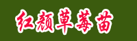高度20cm红颜草莓苗多少钱