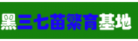 黑三七怎么种植_云南黑三七种植苗供应商