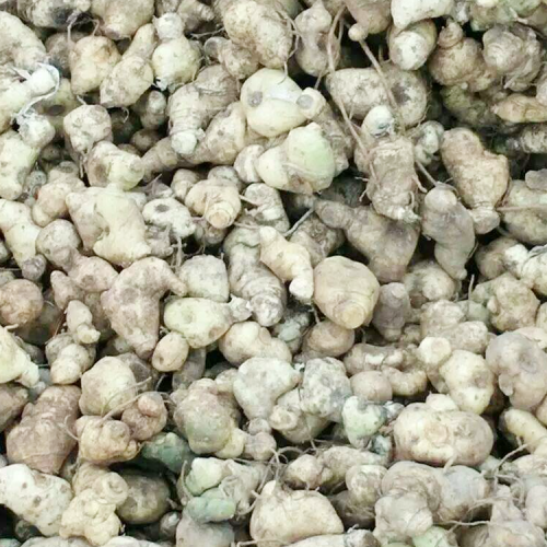 黄精食用方法与介绍_该怎么吃，效果才好?