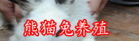 熊猫兔一斤多少钱？养殖技术-