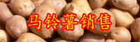 2020年马铃薯价格分析-行情价格多少钱？种植赚钱吗？