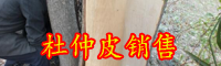 杜仲皮的功效与作用-