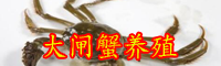 大闸蟹的行情怎么样？大闸蟹的做法