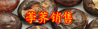 荸荠的产地在哪里？多少钱一斤