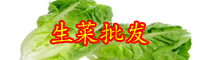 “皇帝菜”生菜的种植方法要点：采收也有小技巧！
