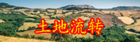 云南元谋土地出让|100平米价格大概多少钱？
