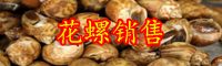 花螺价格多少钱一斤？