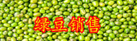 绿豆是寒性的蔬菜吗？可以家庭种植吗？