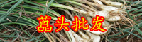 “菜中灵芝”藠头是大蒜吗？什么人不能吃？