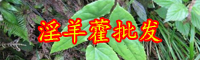 淫羊藿多少钱一斤？泡水喝有什么好处？