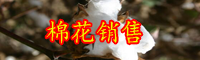 云南棉花新价格是多少钱一斤？未来种植前景如何？