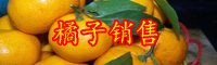 2019年云南橘子多少钱一斤？市场行情走势如何？