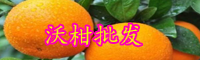 云南沃柑的价格多少钱一斤？2020年价格会上涨吗？