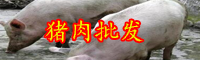 全国生猪价格降13.5%！北京猪肉价格多少钱一斤？